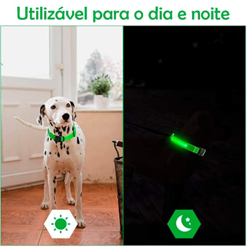 Coleira de Led para Cachorros - Coleira Luminosa