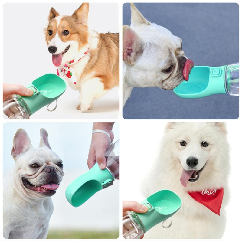 Garrafa de Água Portátil para Pet - Pet Water - tudokasa