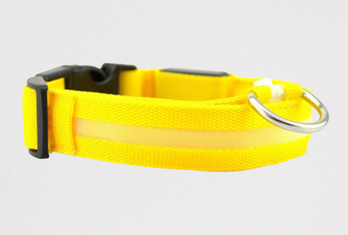 Coleira de Led para Cachorros - Coleira Luminosa